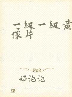 一级一级黄色录像片