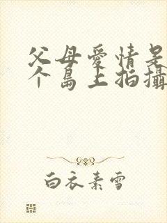 父母爱情是在哪个岛上拍摄的