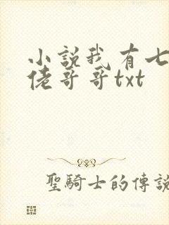小说我有七个大佬哥哥txt