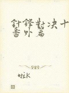 针锋对决十周年番外篇