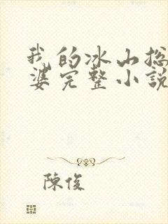 我的冰山总裁老婆完整小说
