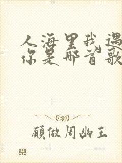 人海里我遇见了你是哪首歌的歌词