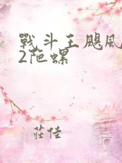 战斗王飓风战魂2陀螺