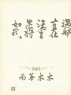 如果没有遇见你我将会在哪里求歌名