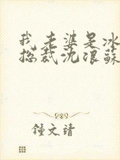 我老婆是冰山女总裁沈浪苏若雪