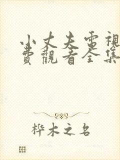 小丈夫电视剧免费观看全集在线