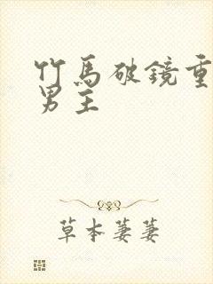 竹马破镜重圆双男主