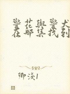 警花与警犬妞妞在哪集找到的