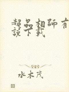 超品相师有声小说下载