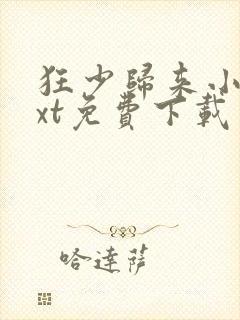 狂少归来小说txt免费下载