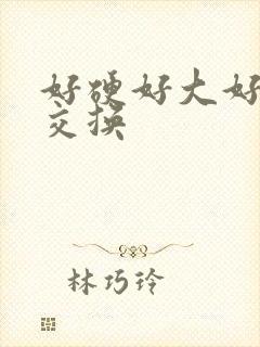 好硬好大好爽 交换