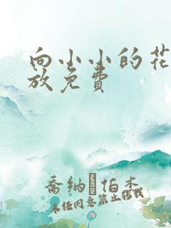 向小小的花蕾绽放免费
