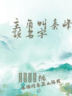 主角叫秦峰的小说名字