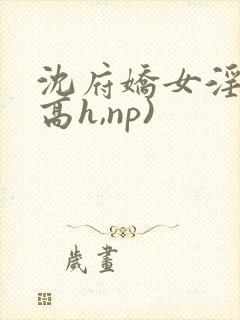 沈府娇女淫史(高h,np)