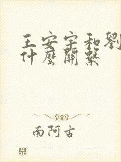 王安宇和刘浩存什么关系