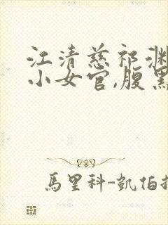 江清慈祁渊替身小女官,腹黑帝王沦陷了阅