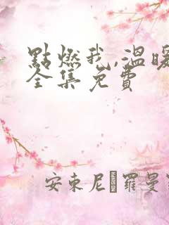 点燃我,温暖你全集免费