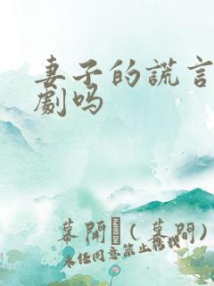 妻子的谎言是韩剧吗