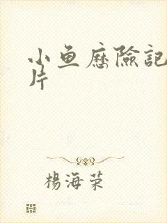 小鱼历险记动画片