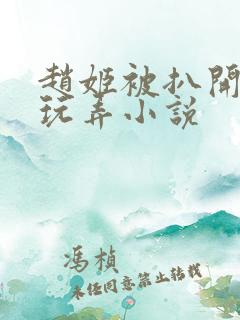 赵姬被扒开双腿玩弄小说