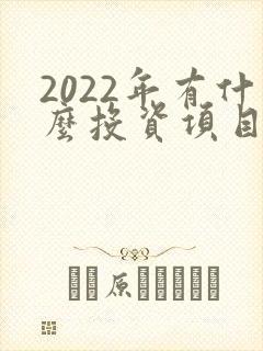 2022年有什么投资项目可以挣钱