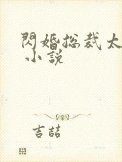 闪婚总裁太霸道 小说