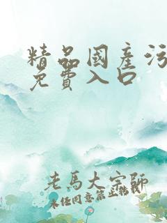 精品国产污污污免费入口