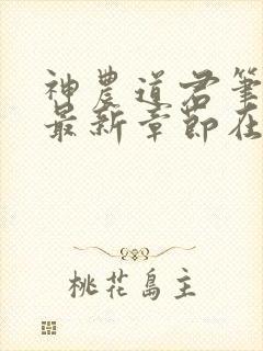 神农道君笔趣阁最新章节在线阅读