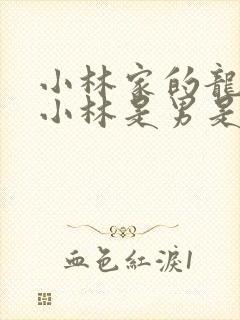 小林家的龙女仆小林是男是女