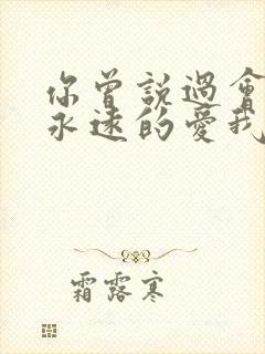 你曾说过会给我永远的爱我什么歌