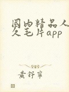 国内精品人妻久久毛片app