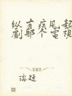 纵有疾风起电视剧那个电视台播放