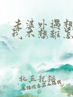 老婆外遇想离婚我不想离怎么办