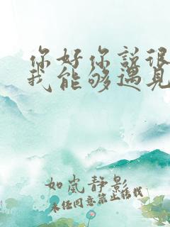 你好你说很高兴我能够遇见你是什么歌