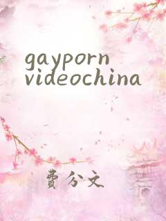 gaypornvideochina