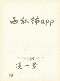 西红柿app