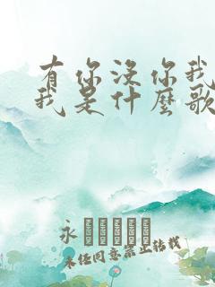 有你没你我都是我是什么歌