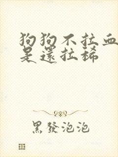 狗狗不拉血了但是还拉稀