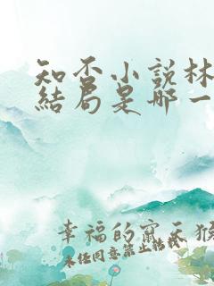 知否小说林小娘结局是哪一章