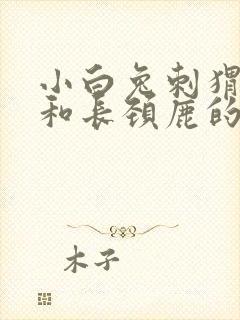 小白兔刺猬大象和长颈鹿的看图写话