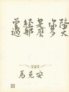 曾经是你陪我度过那么多天什么歌