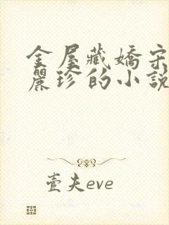 金屋藏娇宋阳陈丽珍的小说