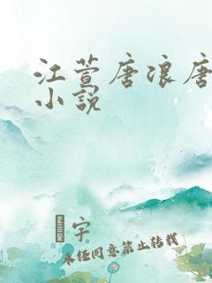 江萱唐浪唐芸的小说