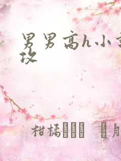 男男高h小说总攻