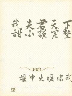 我夫君天下第一甜小说完整版