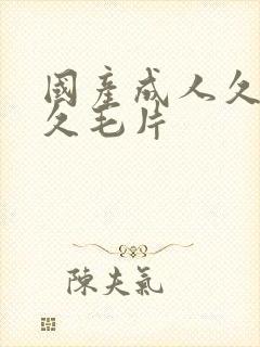 国产成人久久久久毛片