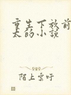 重生下放前老太太的小说