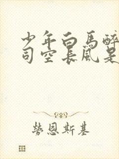 少年白马醉春风司空长风是谁