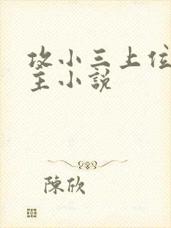 攻小三上位双男主小说