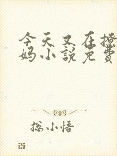 今天又在撩拨后妈小说免费阅读全文